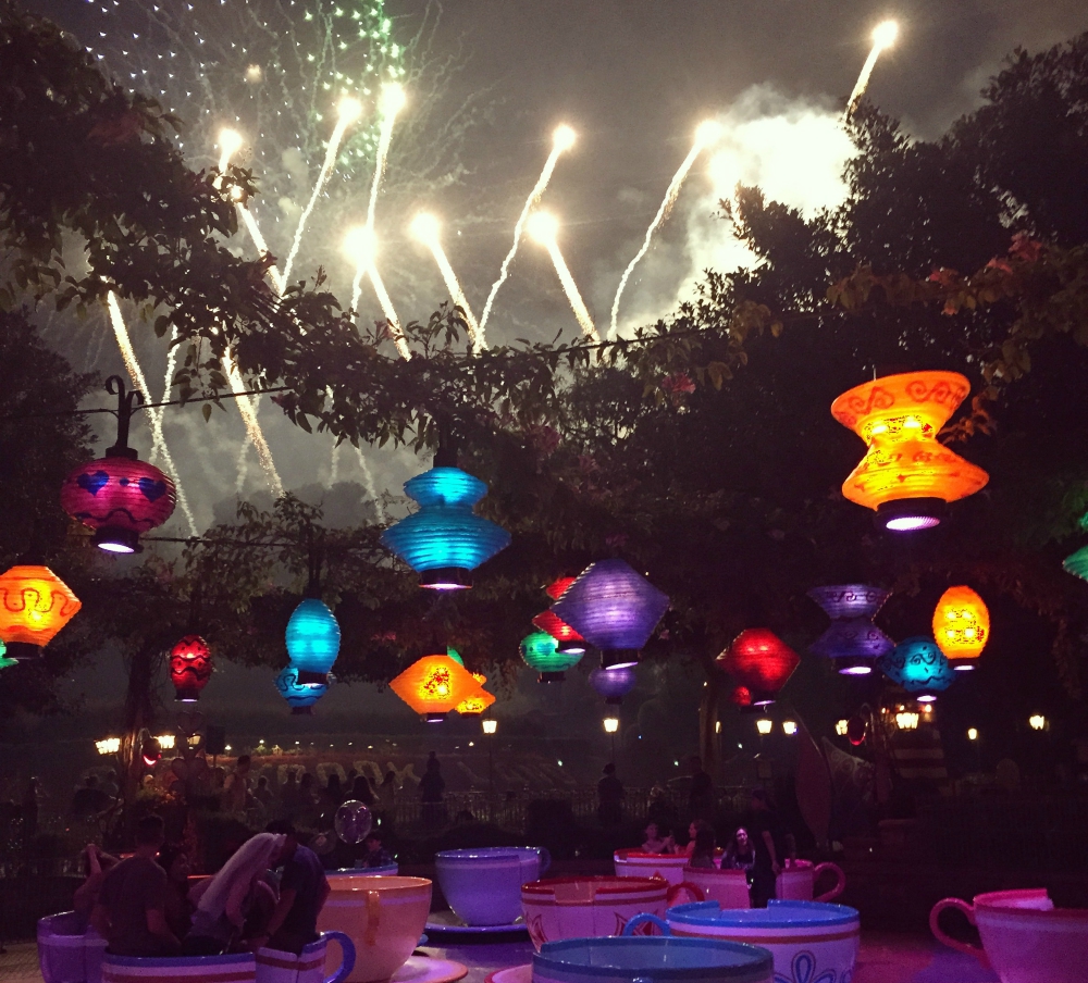 Disneyland Firework Show