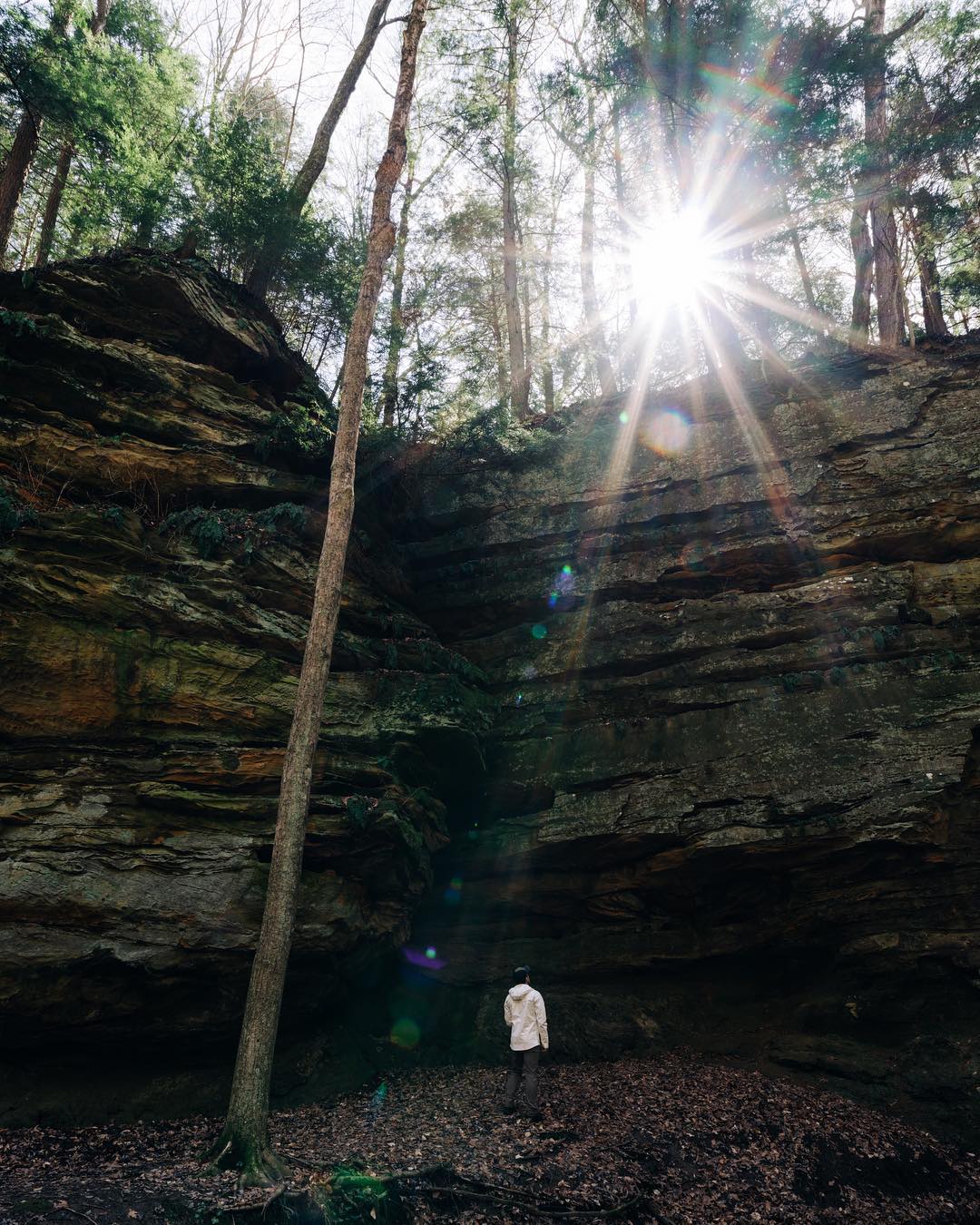There are over 8 state parks about an hour drive radius from Indy. Shades State Park, my personal favorite, offers terrain you generally don’t see in Indiana. Grab a to-go lunch and some snacks to take a day trip out here for all the hiking and canoeing possibilities.
