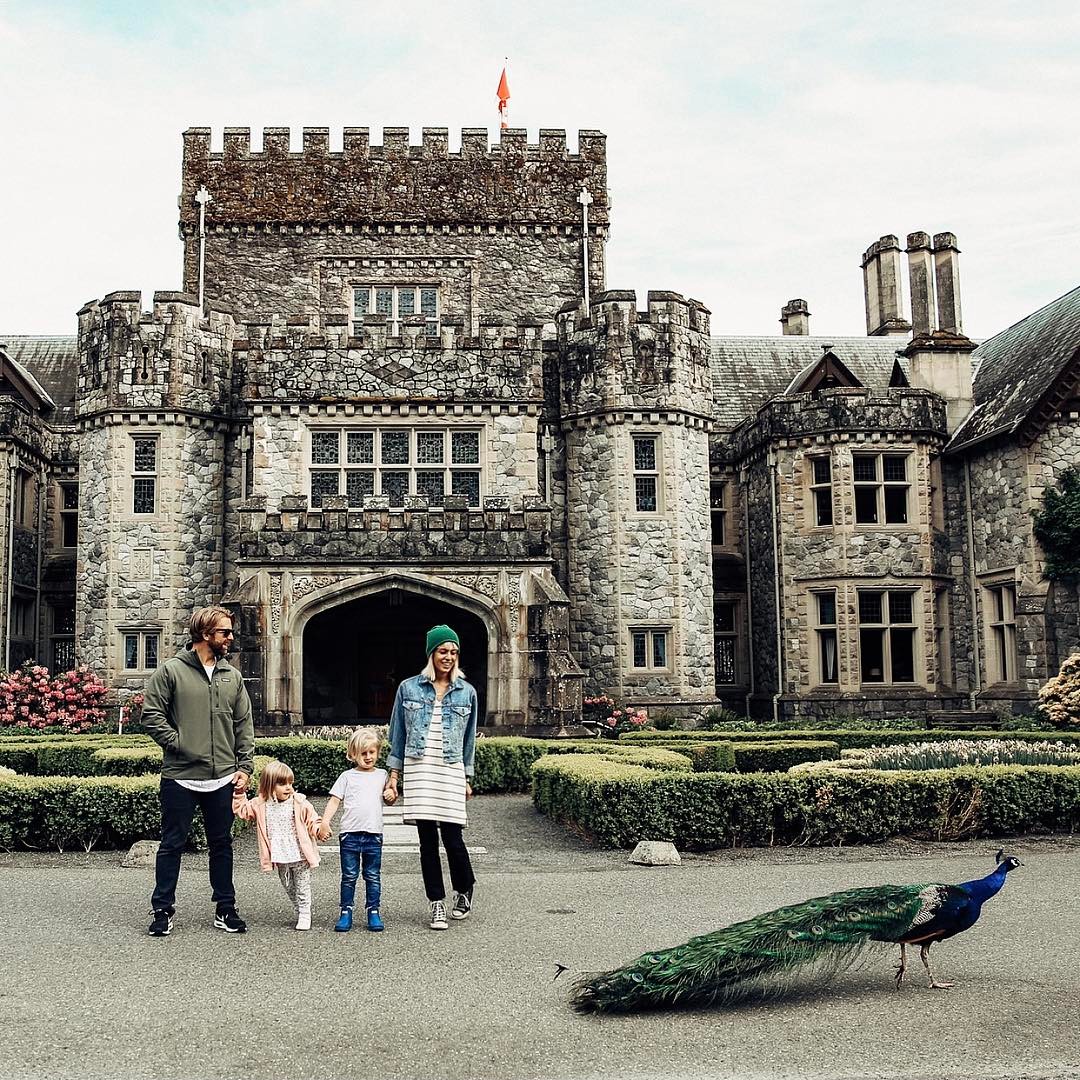 Photobombed by a peacock at Hatley Castle.