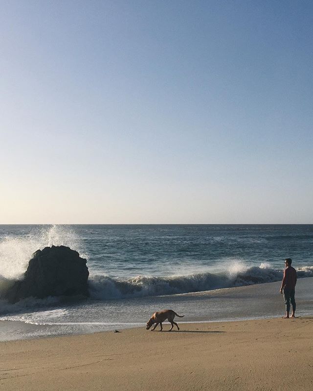 This is a picture of a man and his dog on the beach in Big Sur.