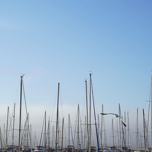 A photo of the tops of boats along Market Street in San Francisco. 