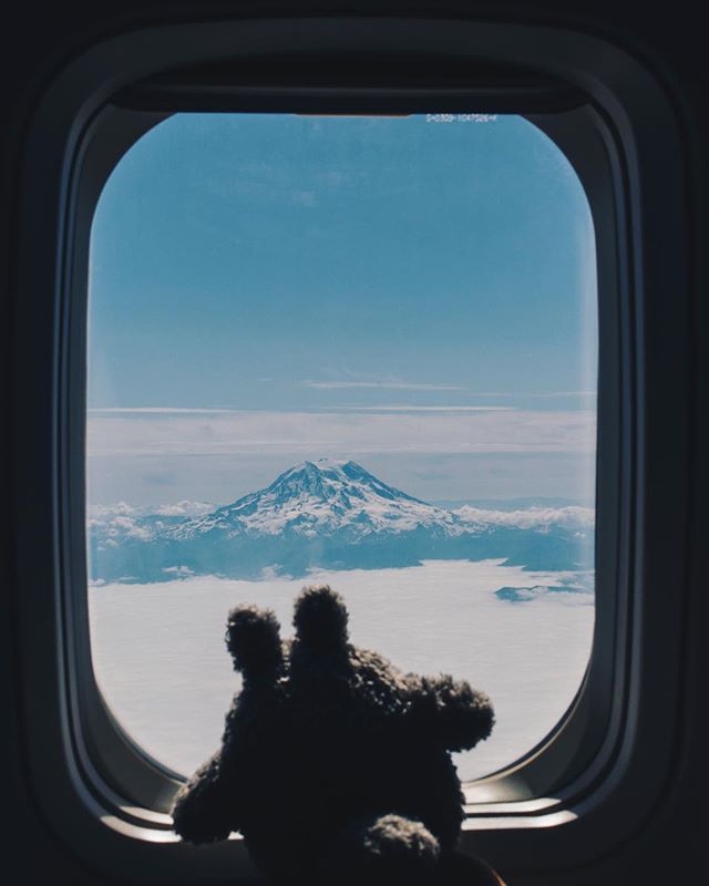 Photo of child's stuffed giraffe animal looking out an airplane window at a snow-capped mountain