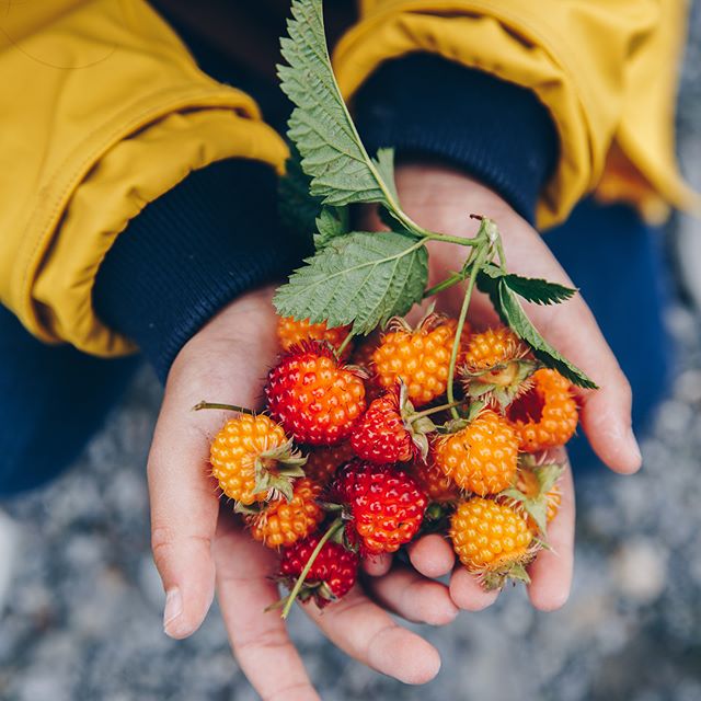 Photo of a child holding bright red and yellow berries in their hands.